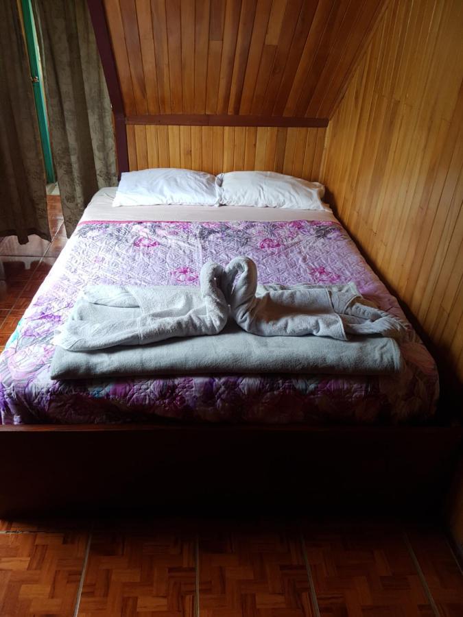 Hostel Monteverde Backpackers Zewnętrze zdjęcie
