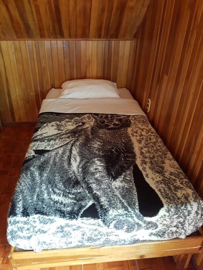 Hostel Monteverde Backpackers Zewnętrze zdjęcie